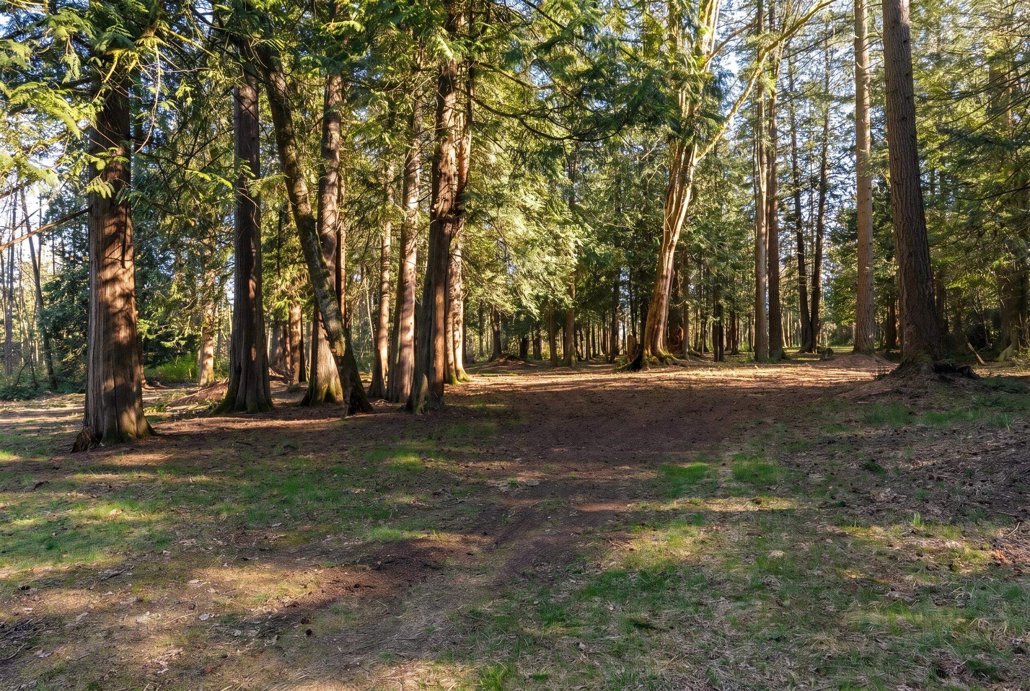 17438 28 Avenue - MLS&reg; # R3115233