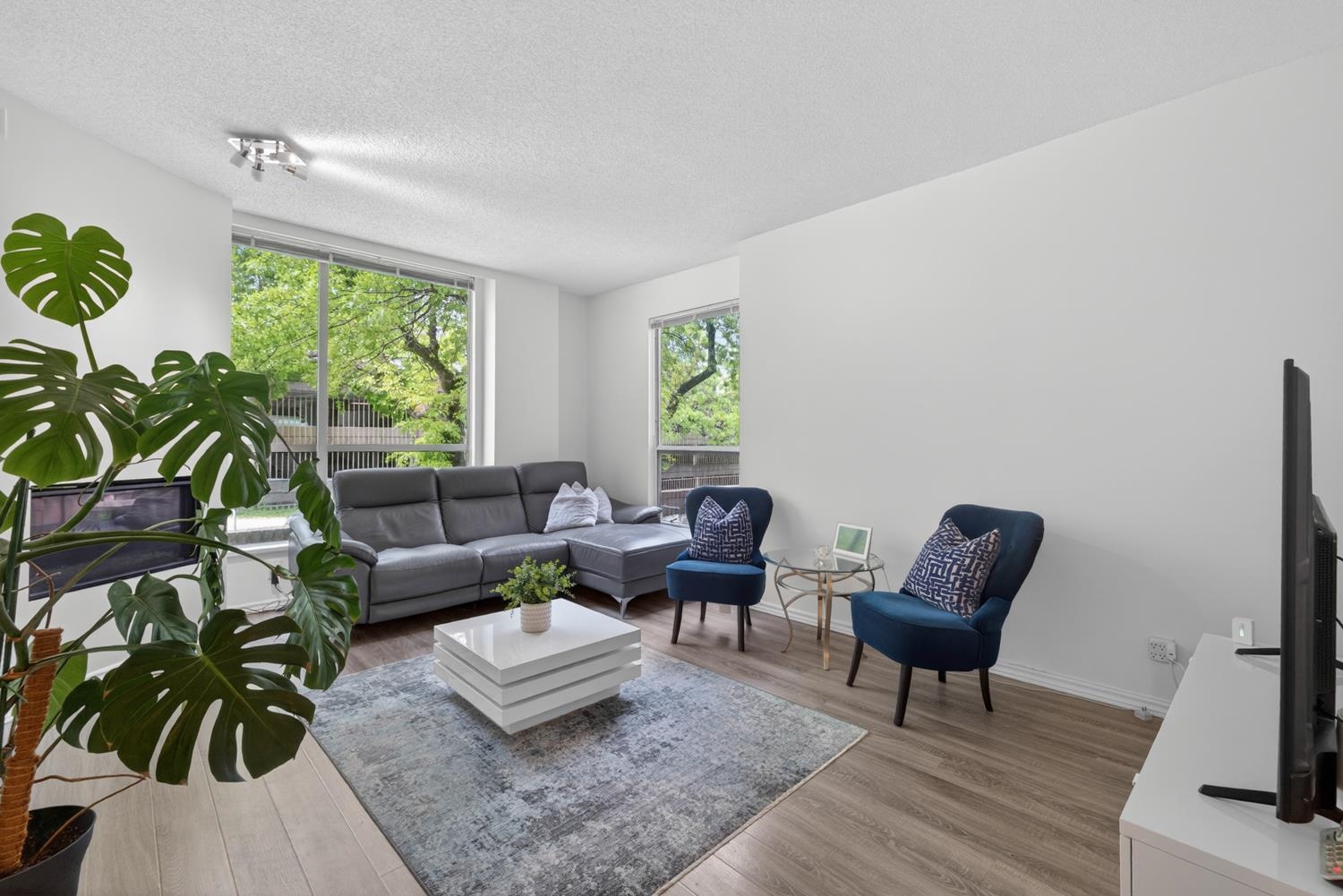 201 2668 Ash Street - MLS&reg; # R3125189