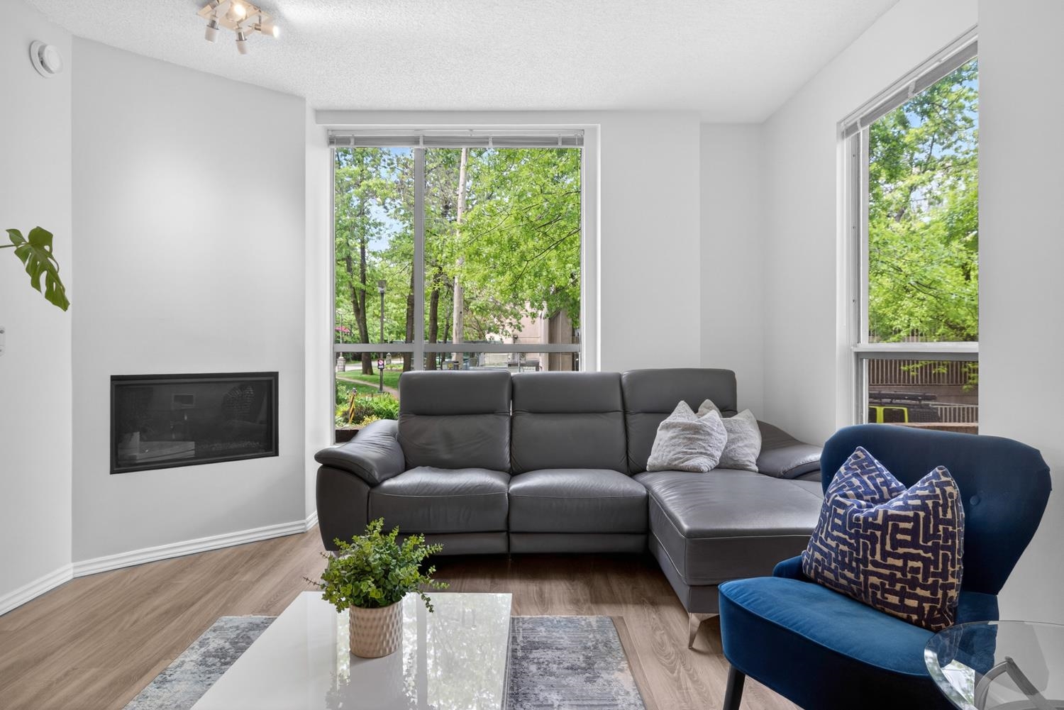 201 2668 Ash Street - MLS&reg; # R3125189