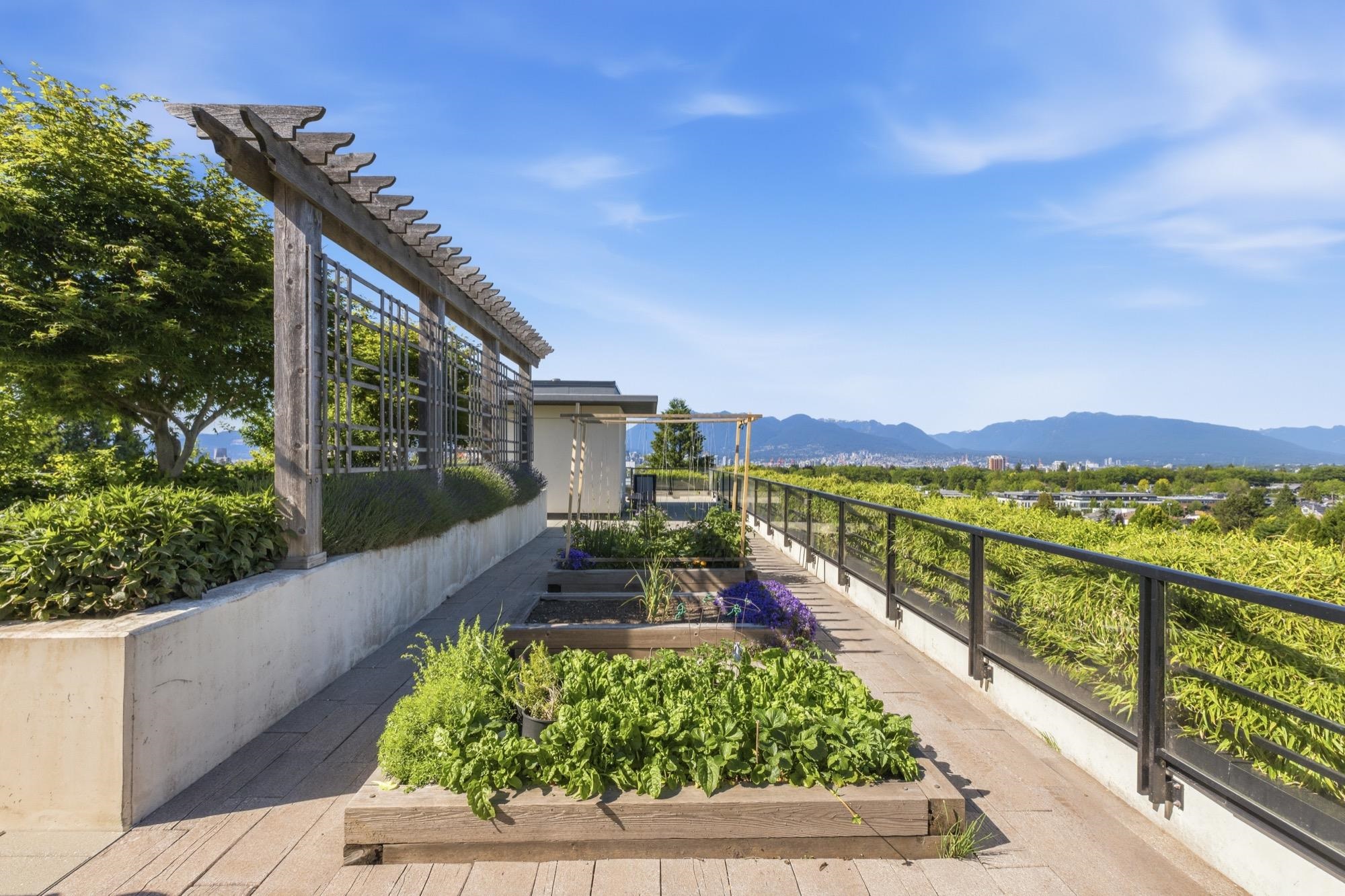 104 4488 Cambie Street - MLS&reg; # R3134644