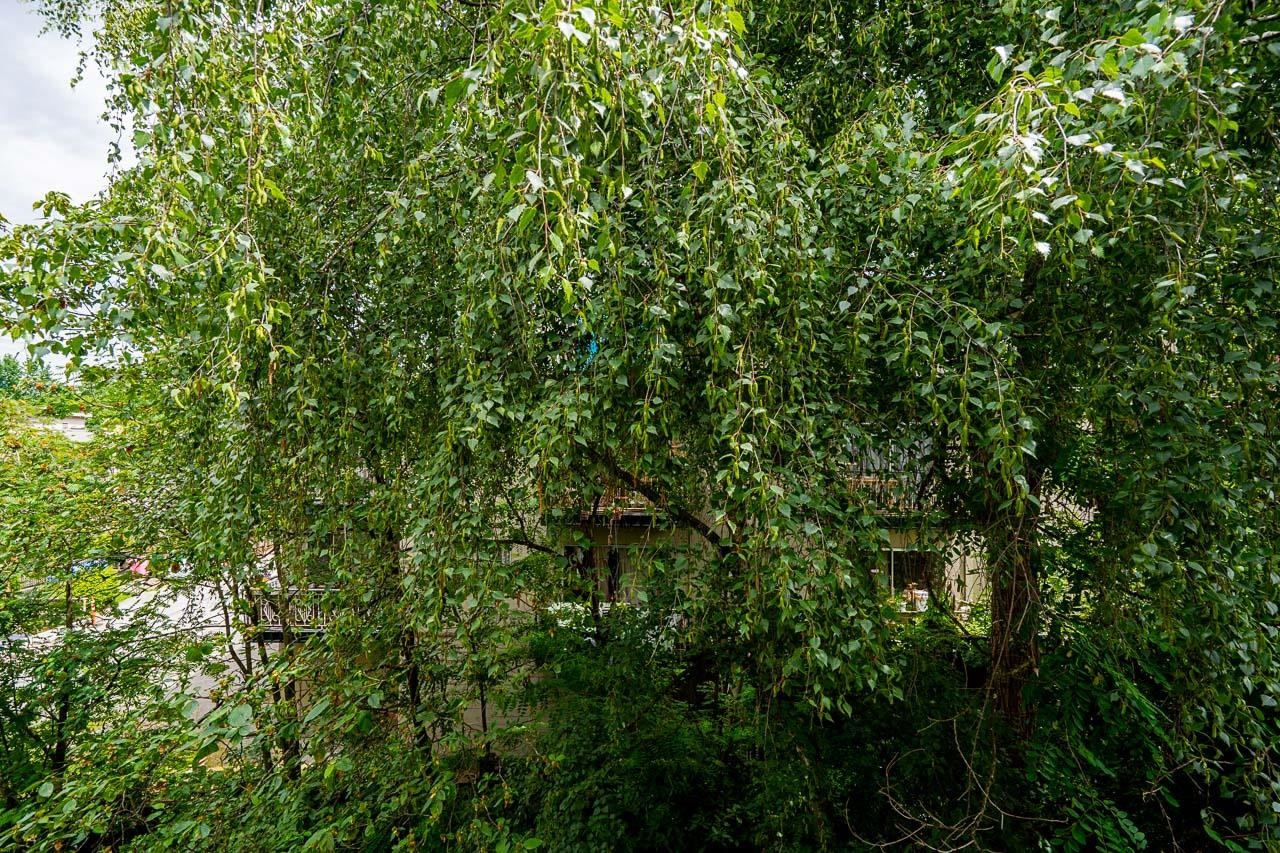 302 138 Templeton Drive - MLS&reg; # R3137436
