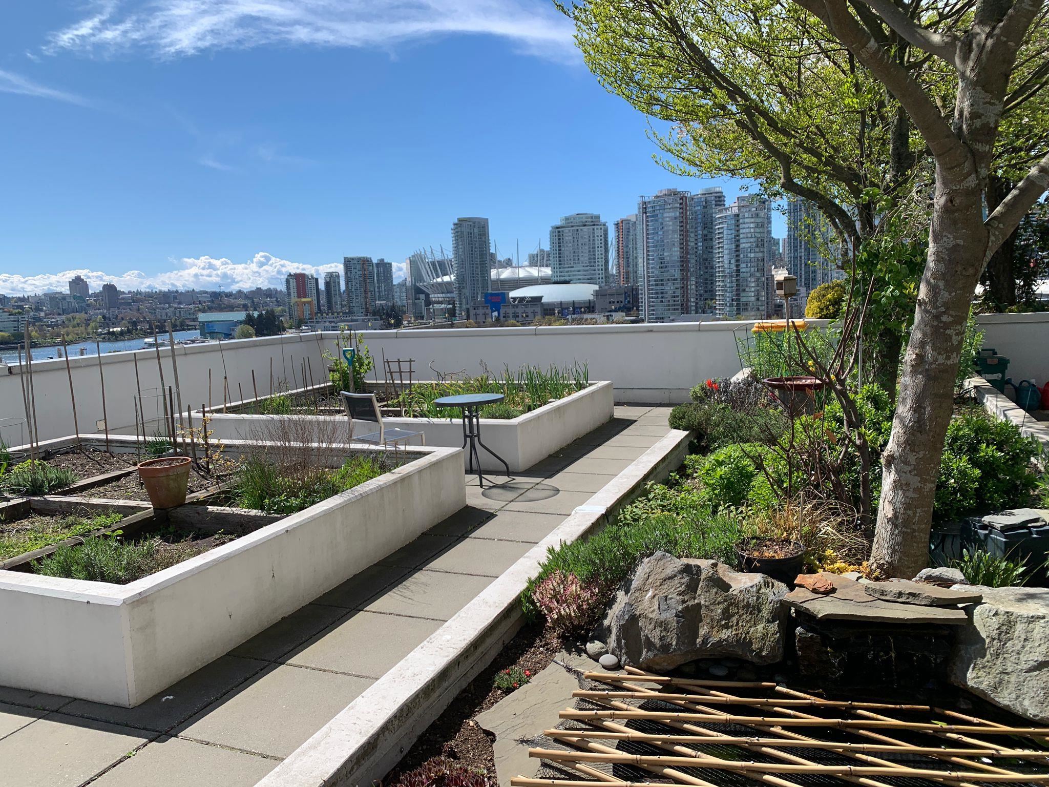 706 189 Keefer Street - MLS&reg; # R3137928