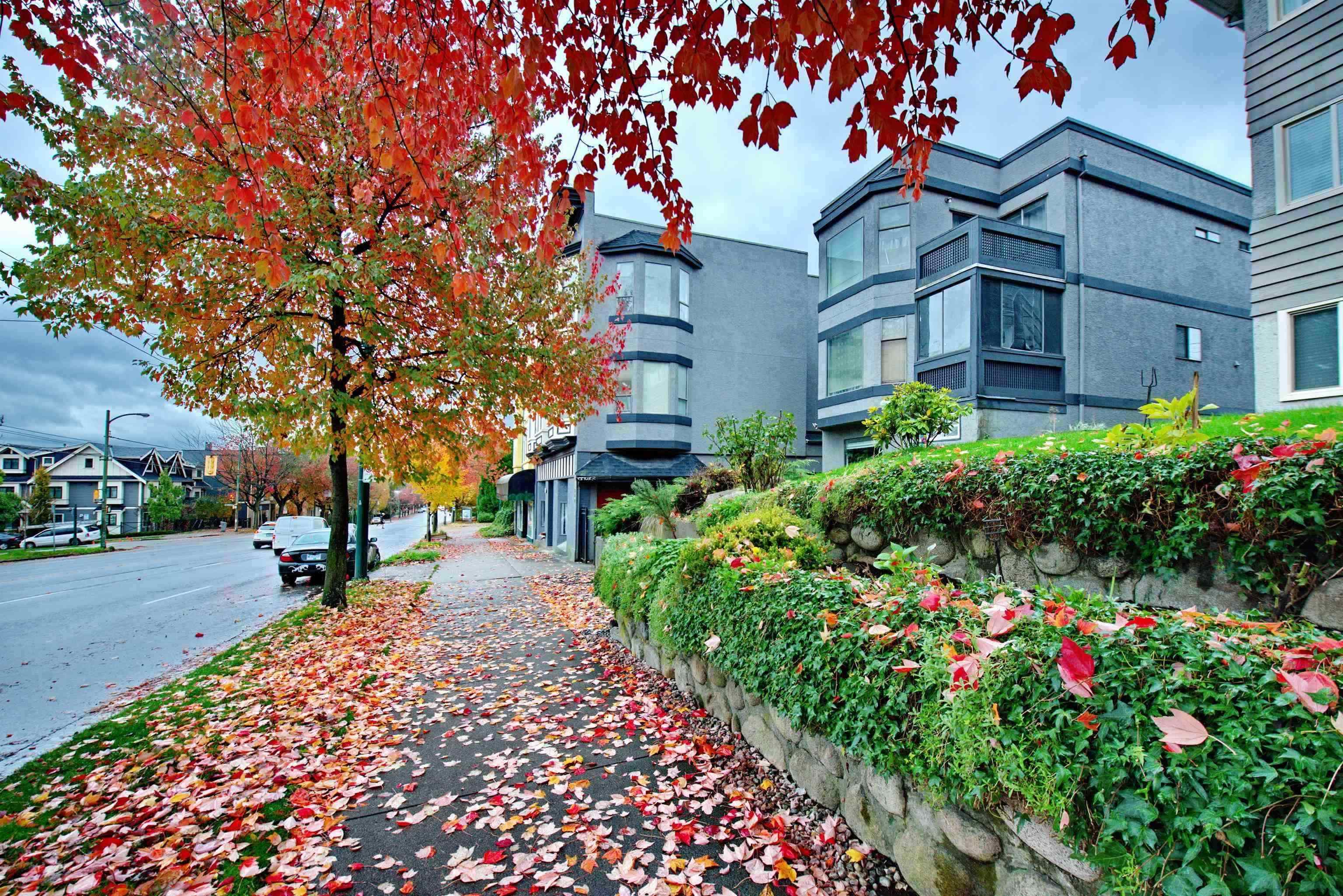 2 862 Broadway  - MLS&reg; # R3144735