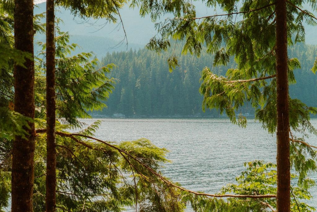  14 Croker Island - MLS&reg; # R3147587