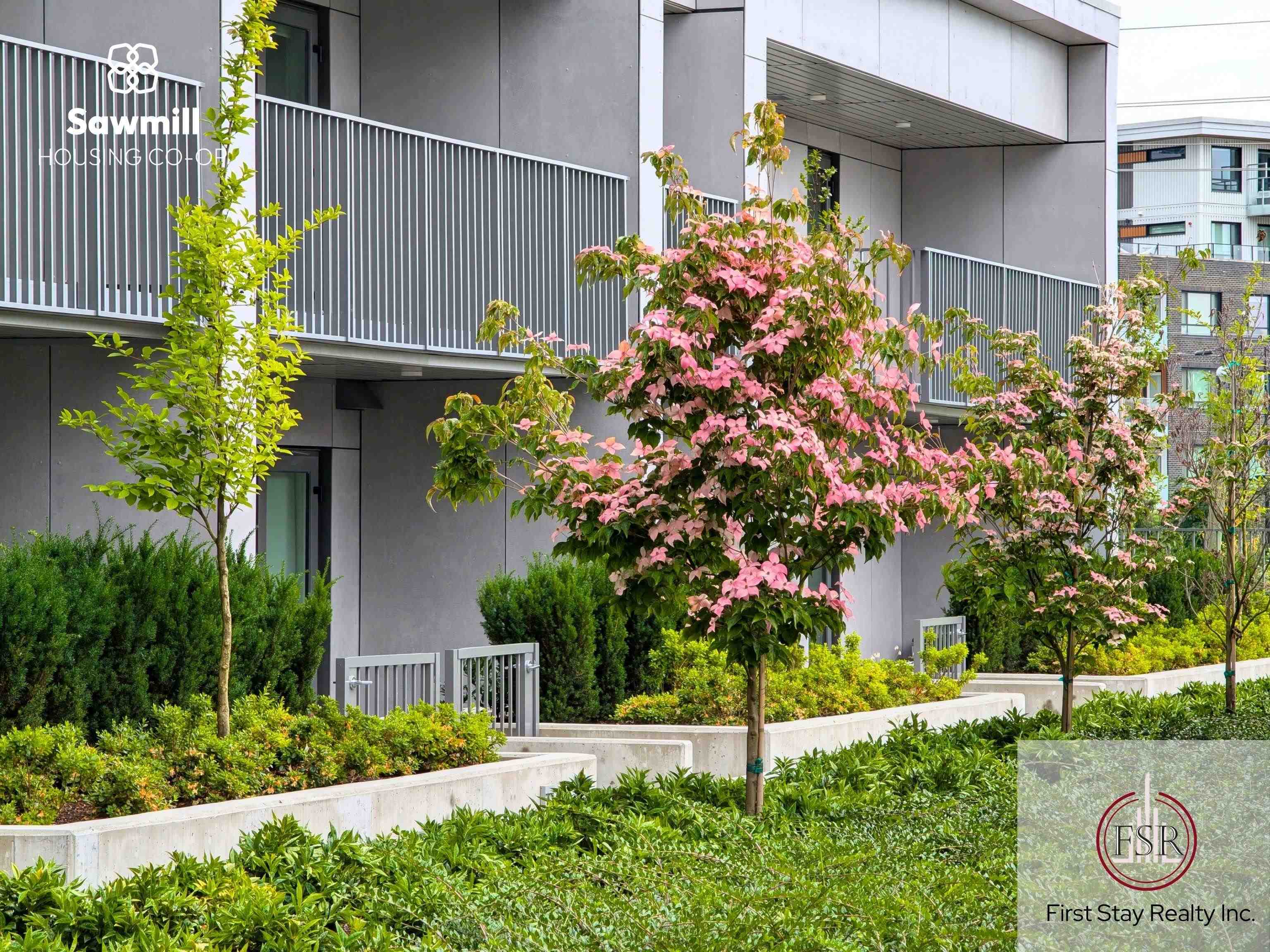  8559 Jack Uppal Street  - MLS&reg; # R3148522
