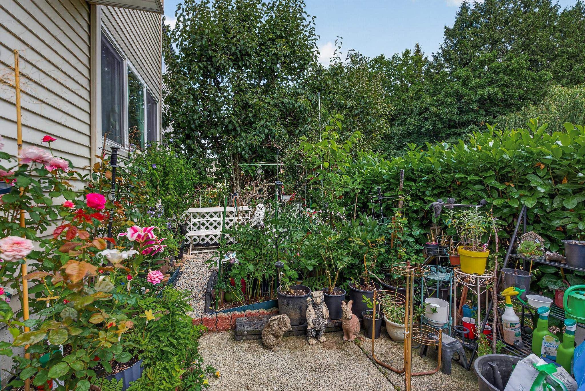 88 3441 49th Avenue - MLS&reg; # R3149902