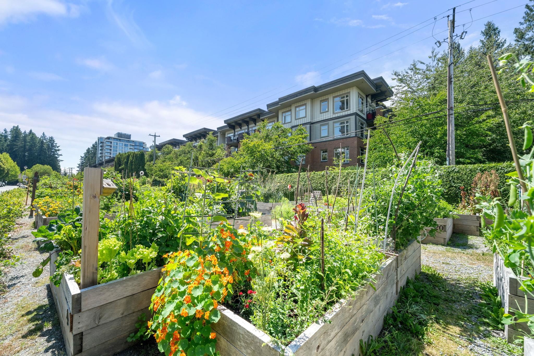 222 2280 Wesbrook Mall - MLS&reg; # R3154521