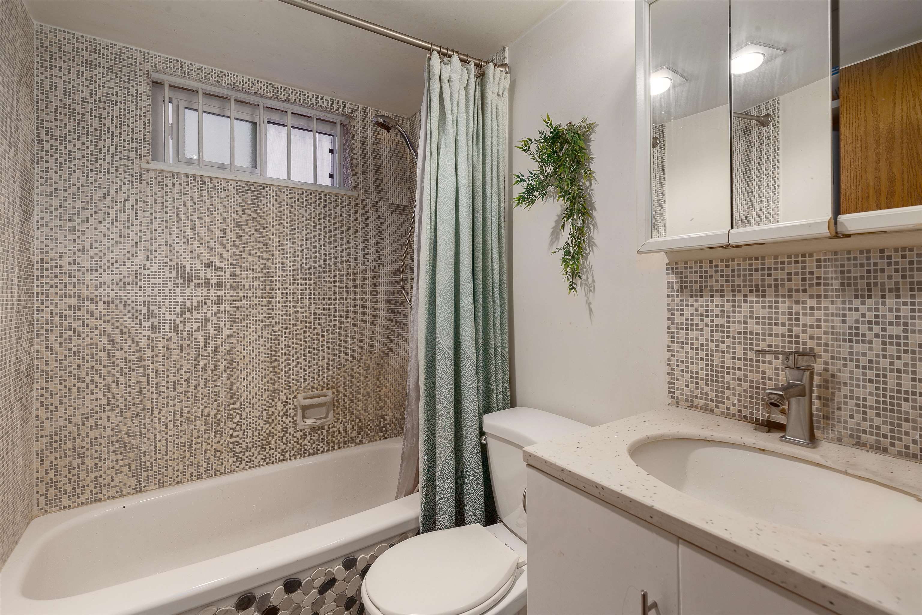 102 2234 Prince Albert Street - MLS&reg; # R3163523