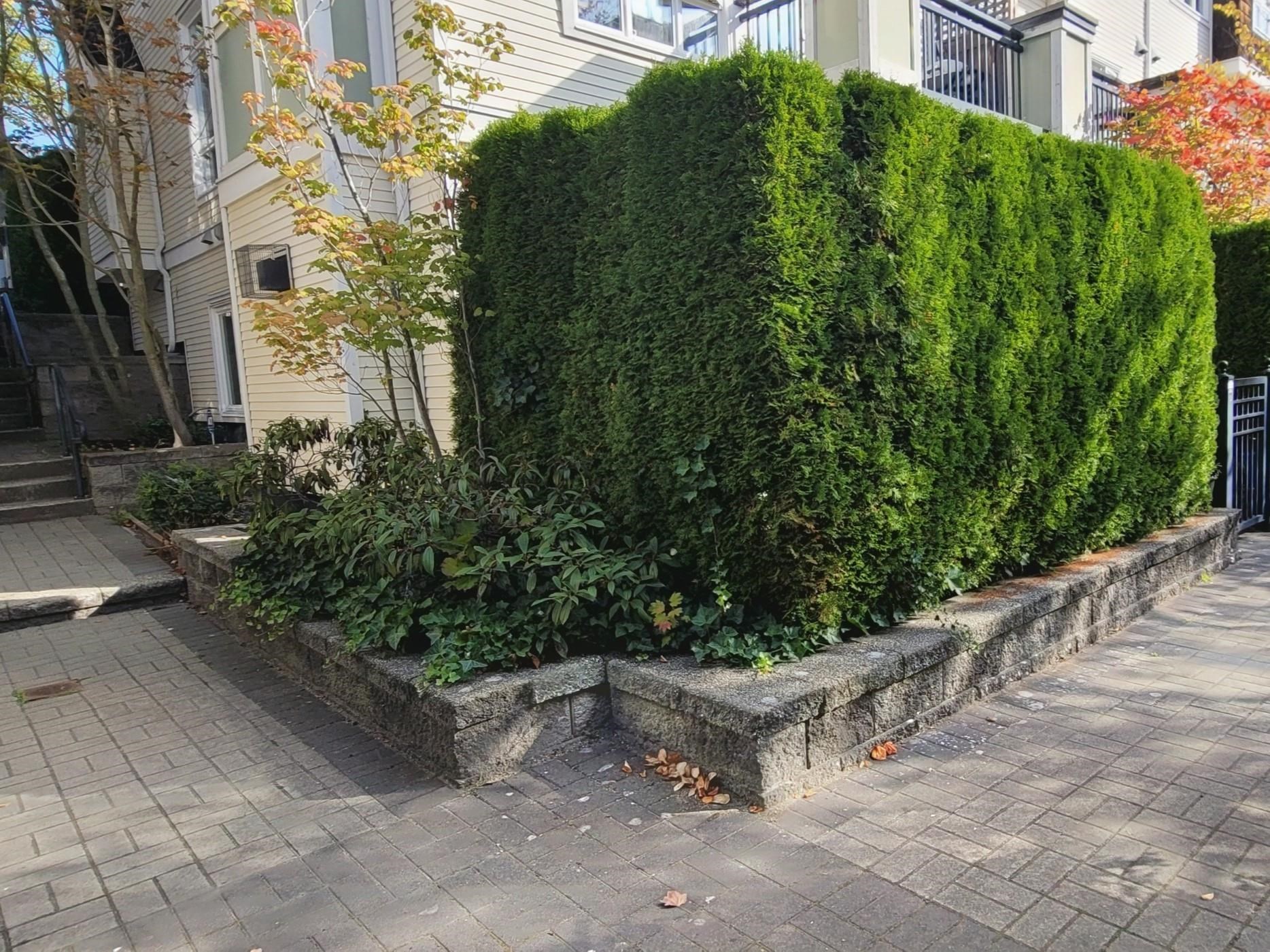  3238 54th Avenue - MLS&reg; # R3168351