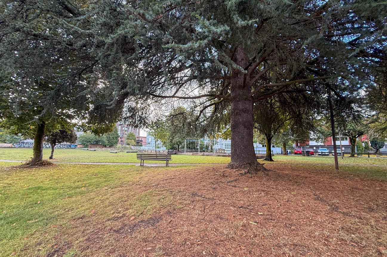 302 1533 8th Avenue - MLS&reg; # R3169906