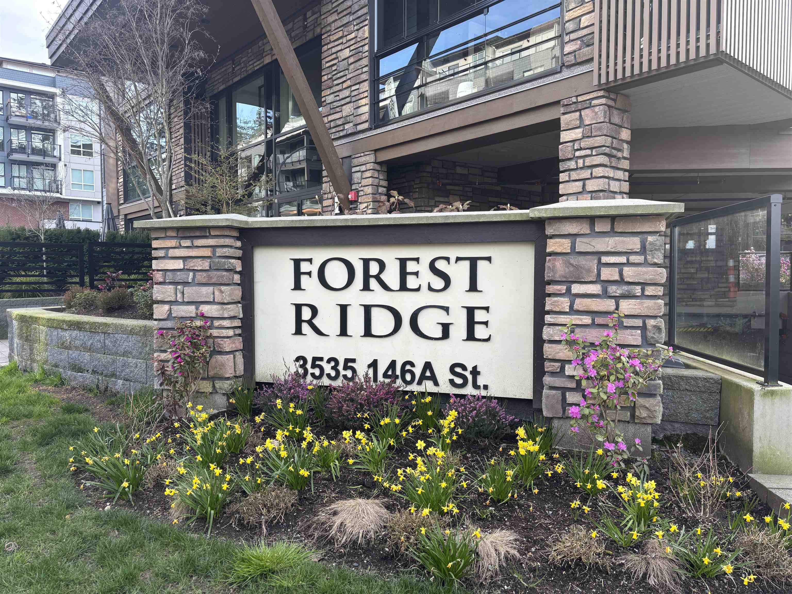 505 3535 146a Street - MLS&reg; # R3105796