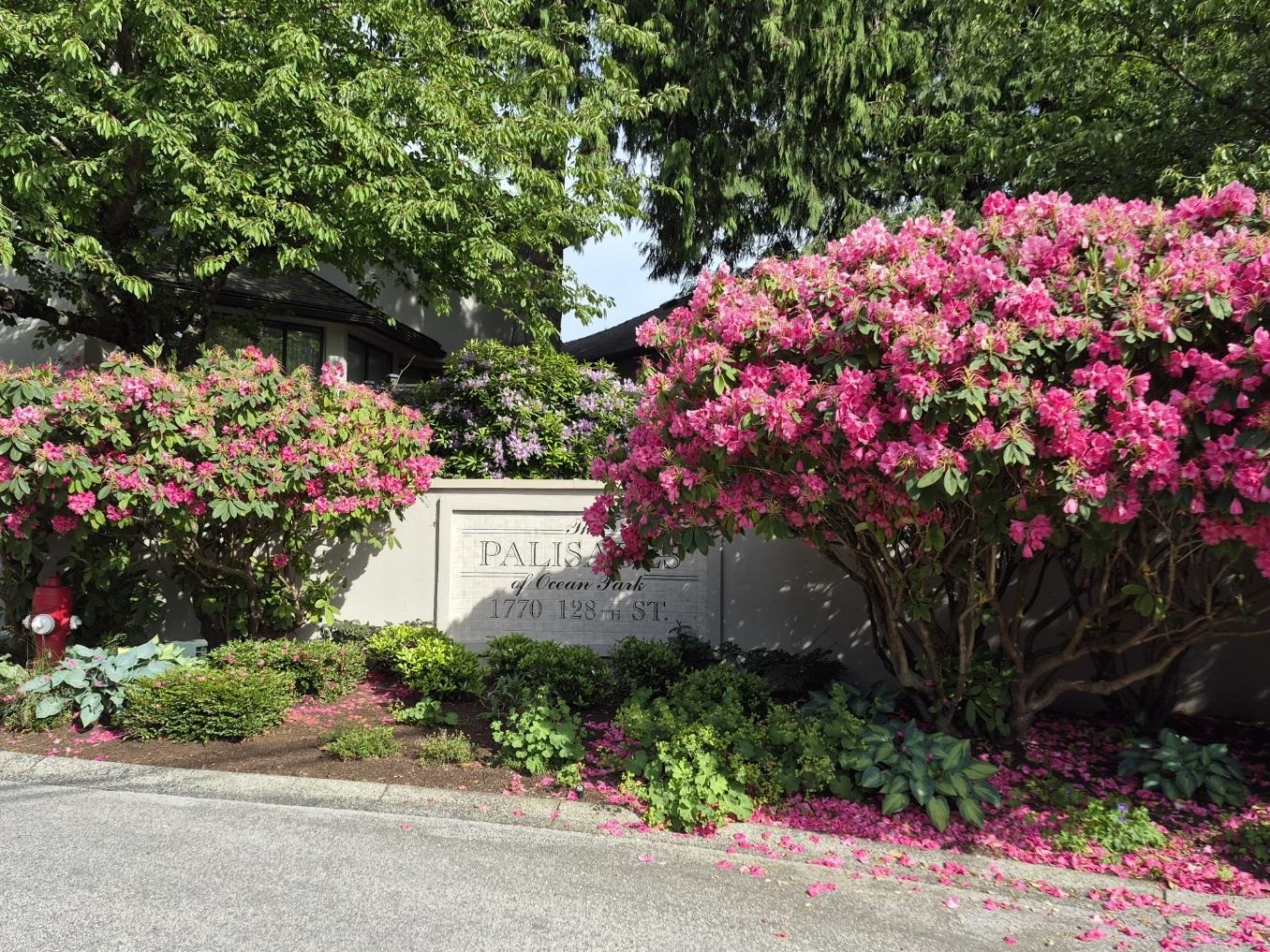 127 1770 128 Street - MLS&reg; # R3131418