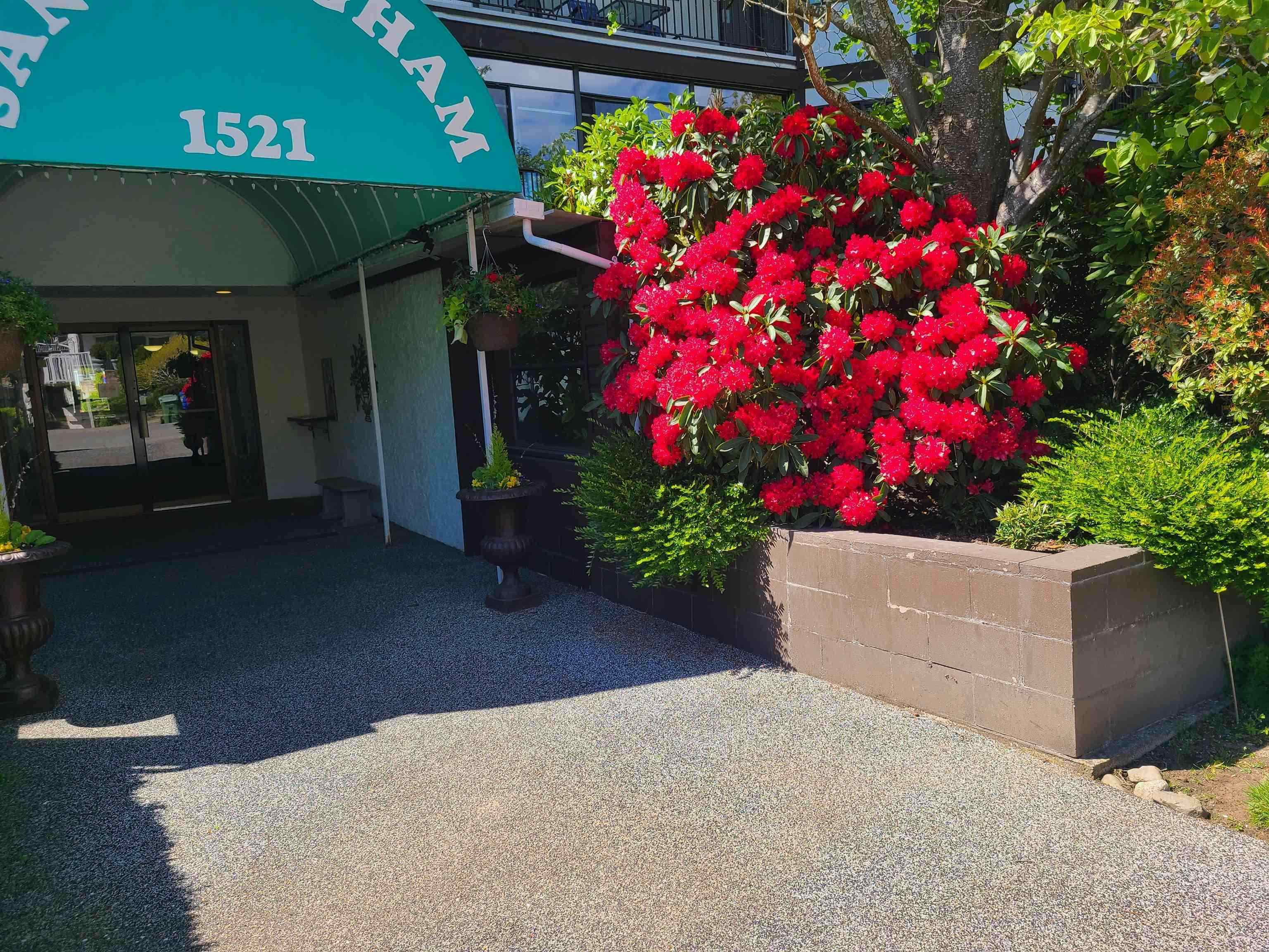 111 1521 Blackwood Street - MLS&reg; # R3149975