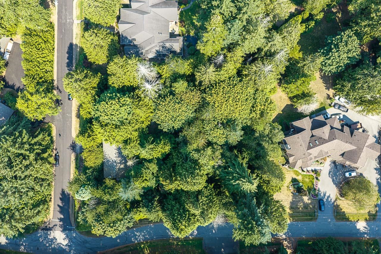  3530 142a Street - MLS&reg; # R3157122