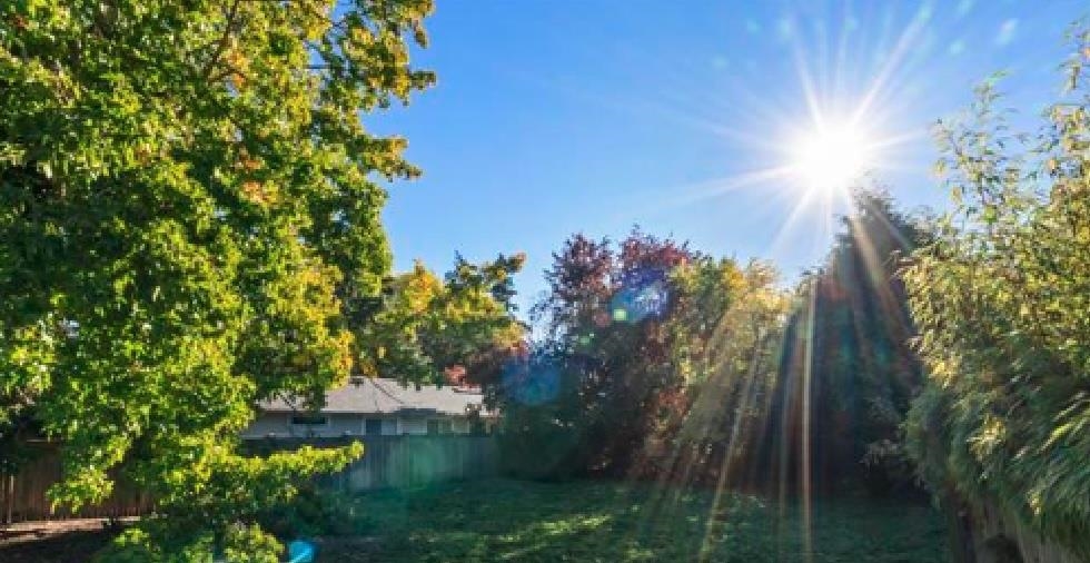  12276 Agar Street - MLS&reg; # R3159958
