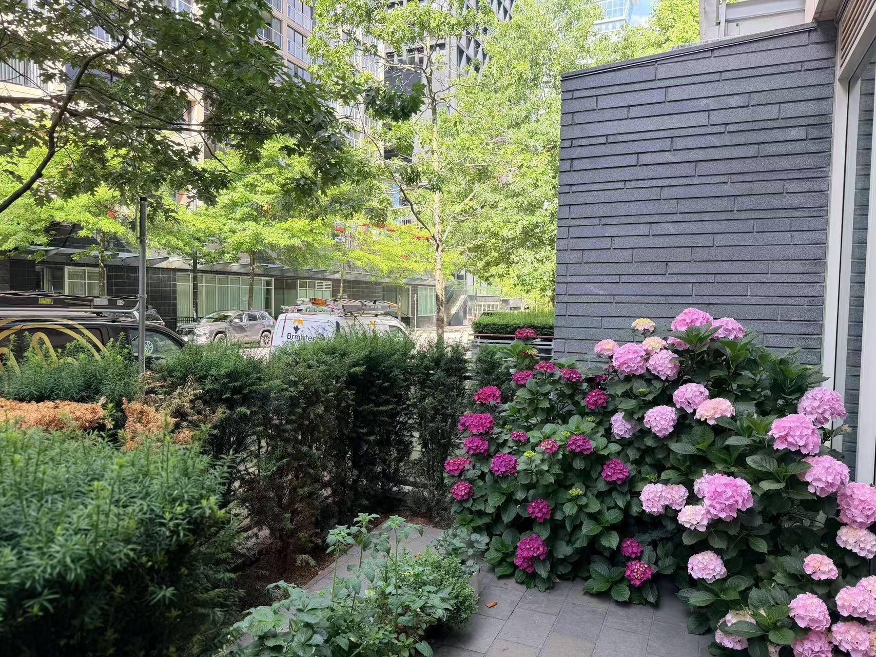  1151 Cordova Street - MLS&reg; # R3142794