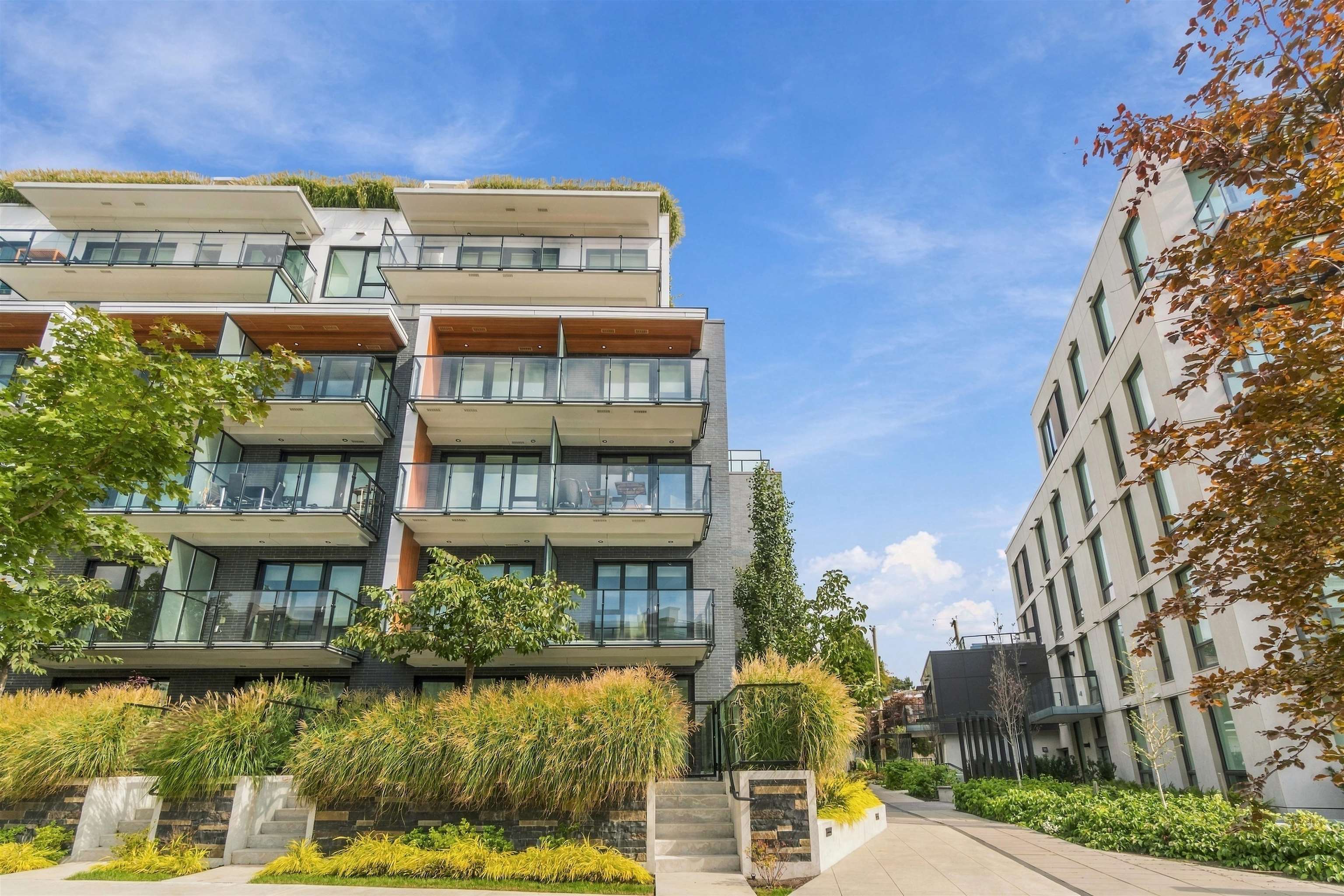 205 5168 Cambie Street - MLS&reg; # R3159742