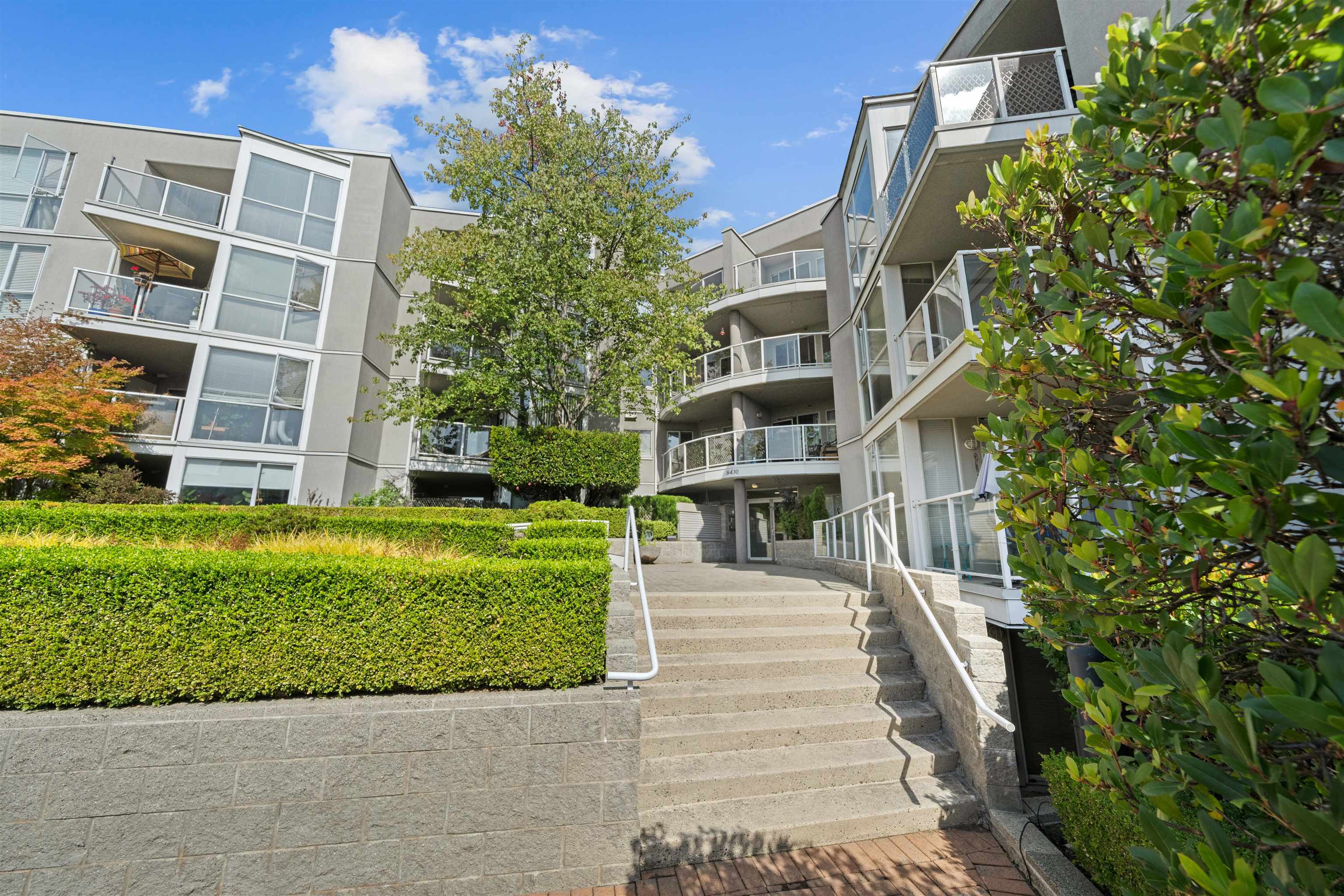 409 8430 Jellicoe Street - MLS&reg; # R3164901